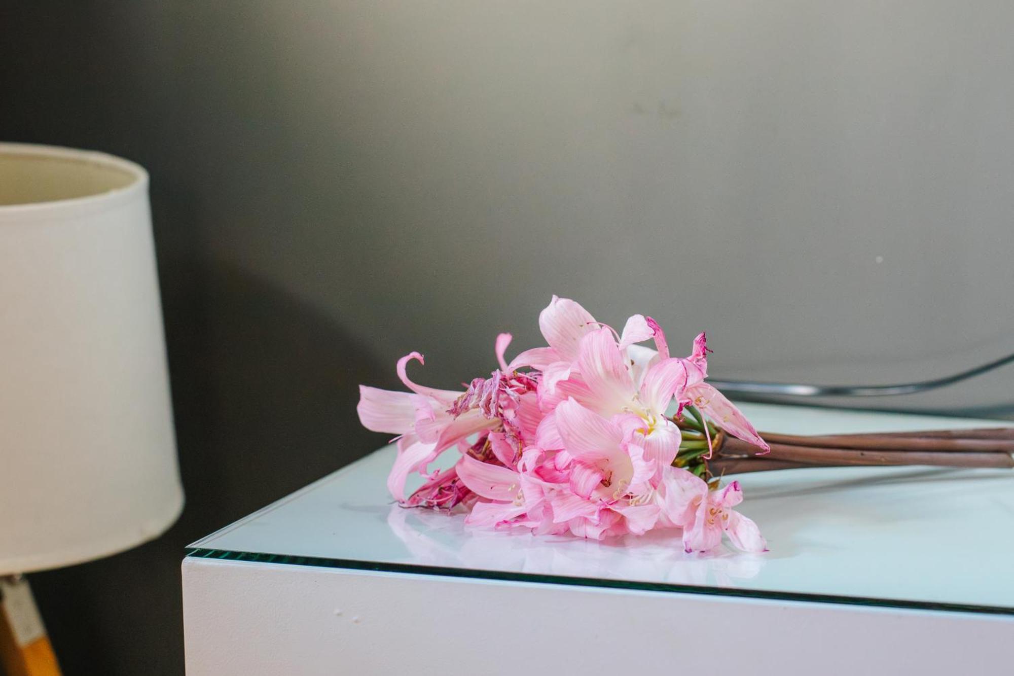 Casa Luis De Camoes - Boutique & Literary House Guest House Santar Luaran gambar